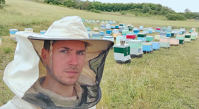 ​Από τη μερική καταστροφή στη λίστα με τα καλύτερα μέλια διεθνώς στο melivelos