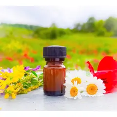 Βασιλικός Πολτός 10γρ - ΒΑΣΙΛΙΚΟΣ ΠΟΛΤΟΣ στο melivelos