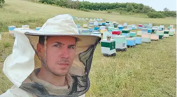 ​Από τη μερική καταστροφή στη λίστα με τα καλύτερα μέλια διεθνώς στο melivelos