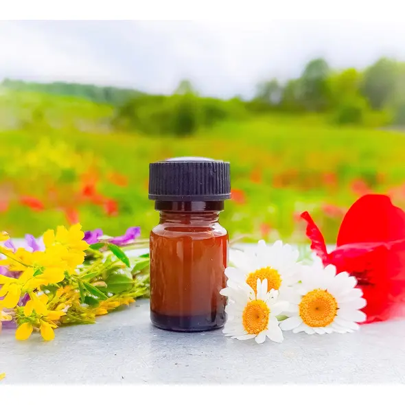 Βασιλικός Πολτός 10γρ - ΒΑΣΙΛΙΚΟΣ ΠΟΛΤΟΣ στο melivelos